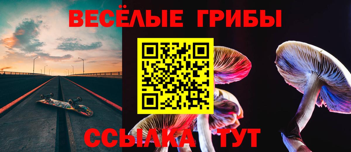 Галлюциногенные грибы GOLDEN TEACHER Бахчисарай