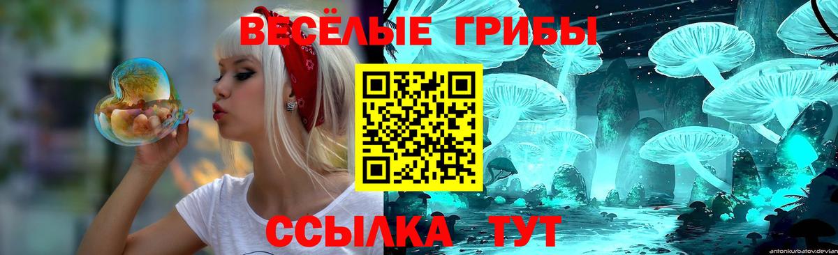 Галлюциногенные грибы ЛСД Бахчисарай